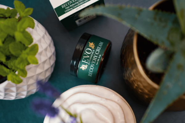 EVO Botanicals Recovery Cream - Image 3