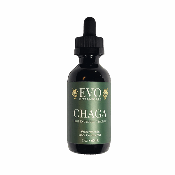 Chaga Tincture, wild foraged and dual extracted